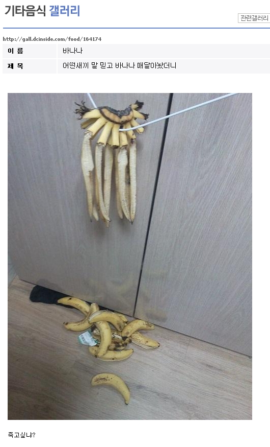 바나나 걸어놓으면 안새까매 진다며?