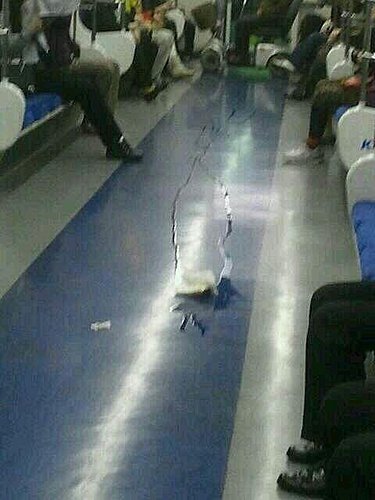 분당선 똥녀