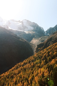 nature