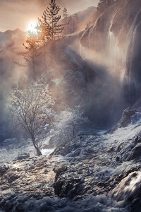 nature