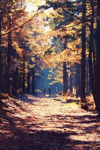 nature
