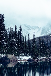 nature
