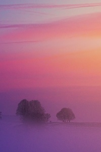 nature