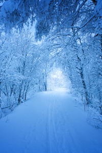 nature