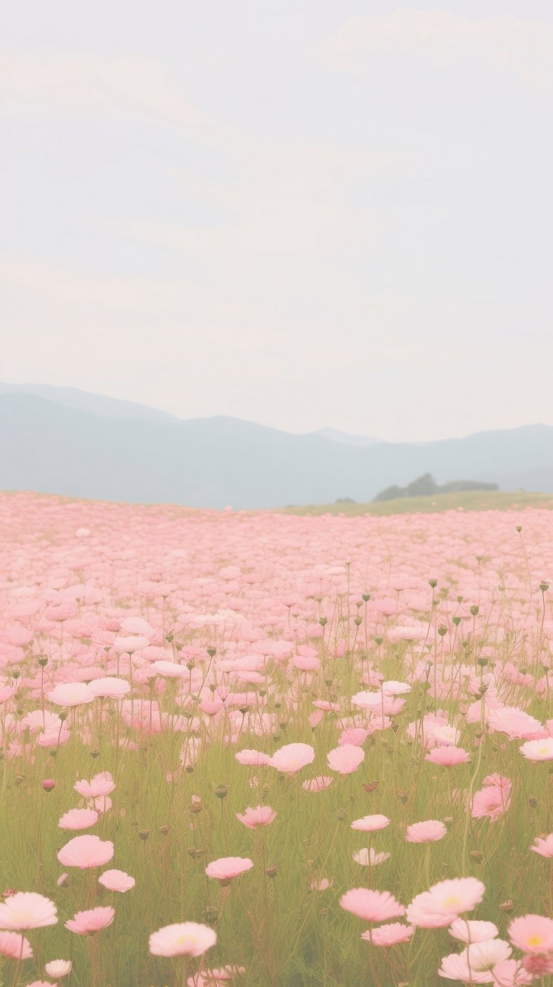 aesthetic