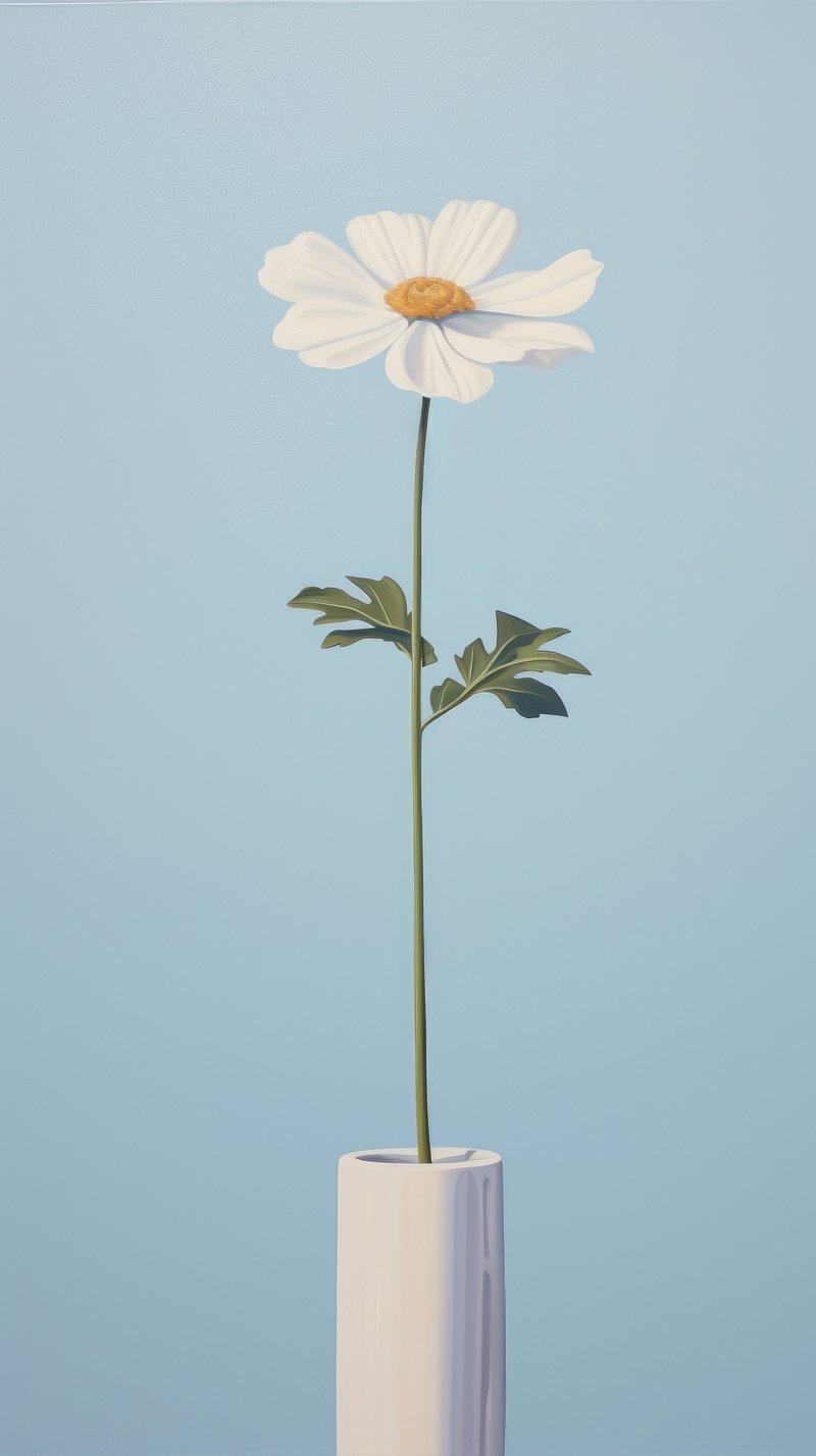 aesthetic