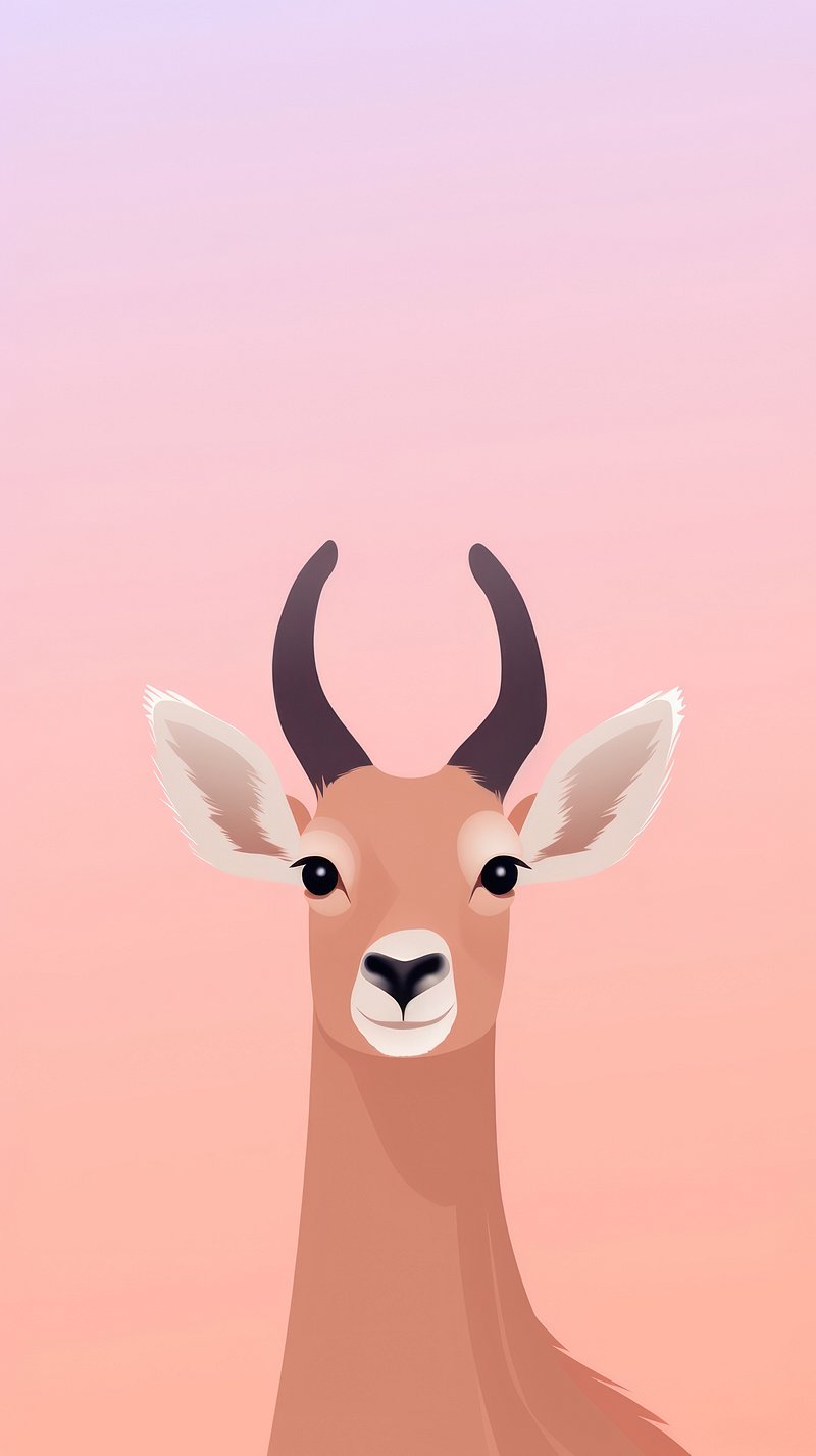 aesthetic