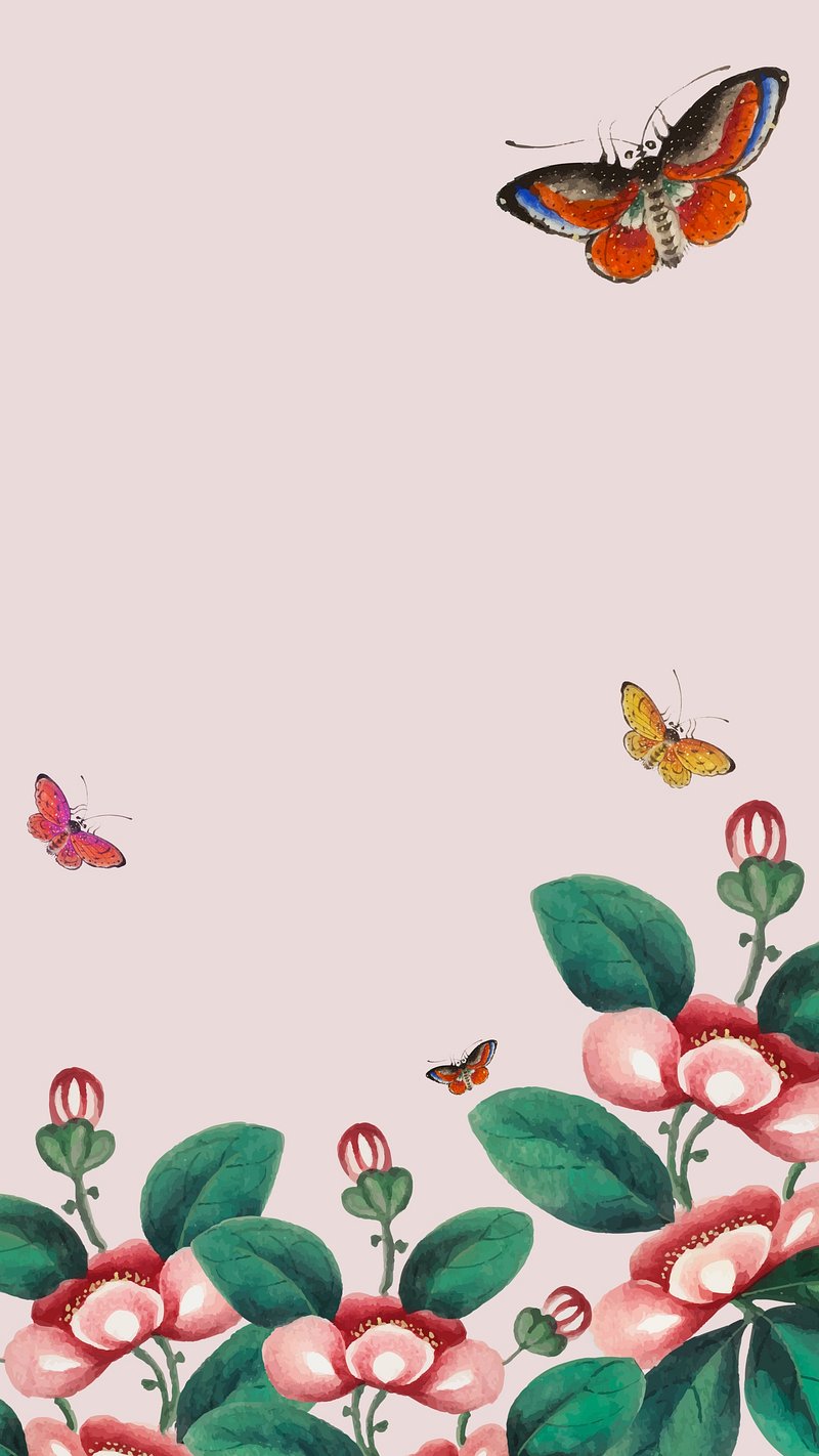 aesthetic