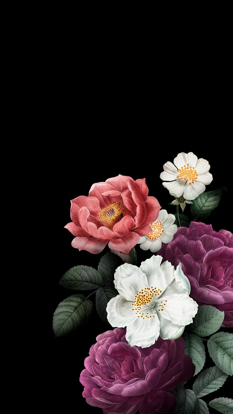 aesthetic