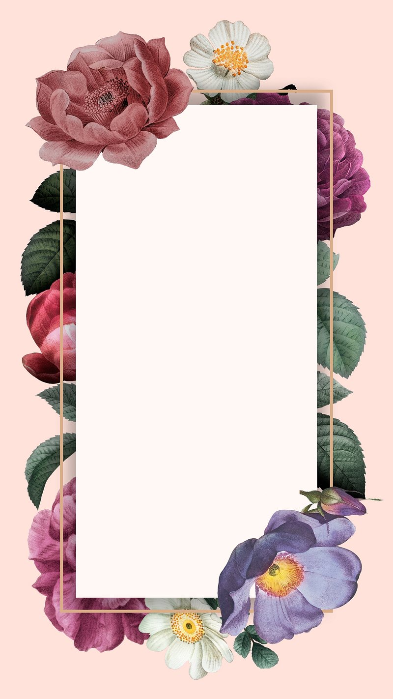 aesthetic