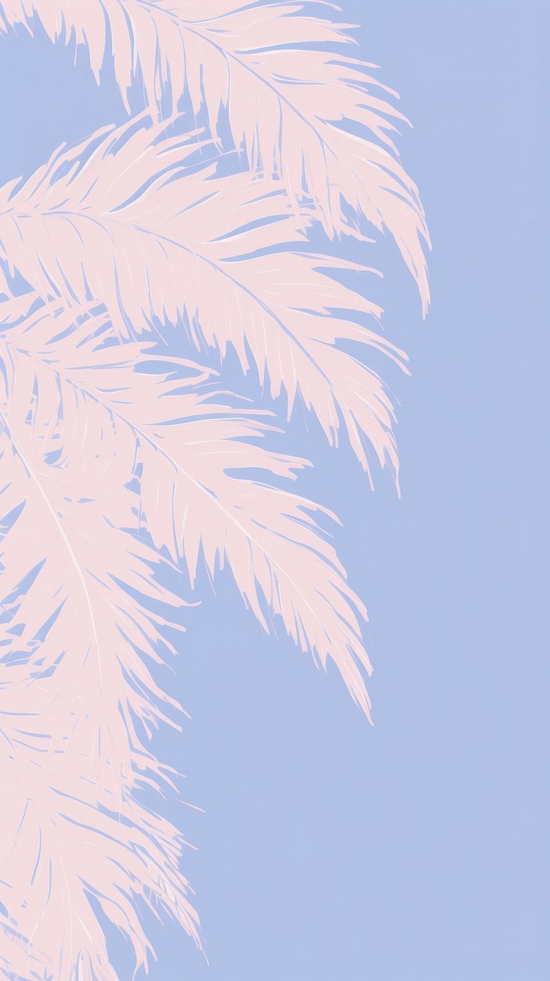 aesthetic