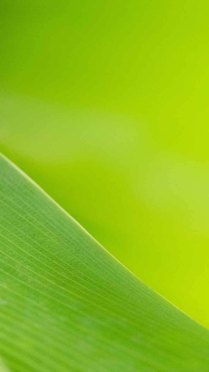 aesthetic