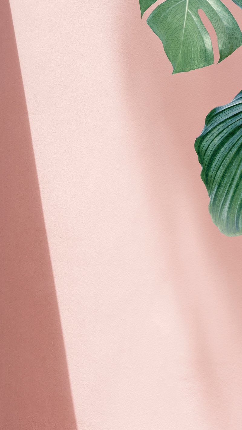 aesthetic