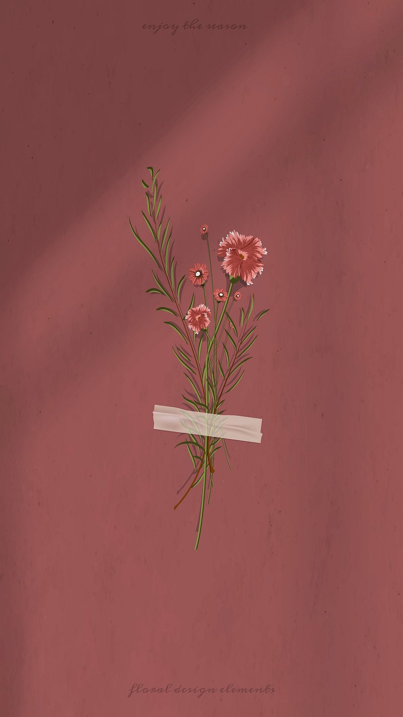 aesthetic