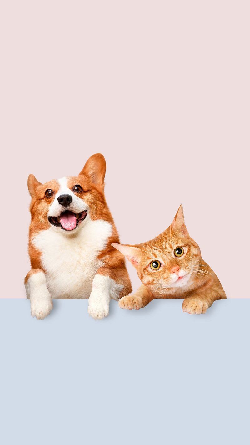 cute