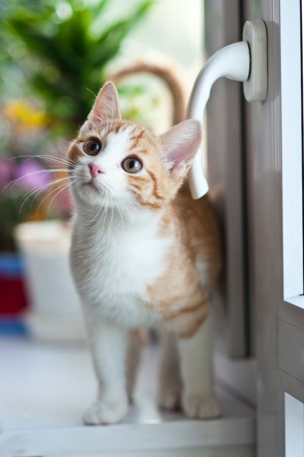 cute