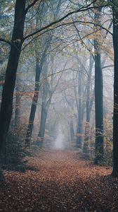 nature