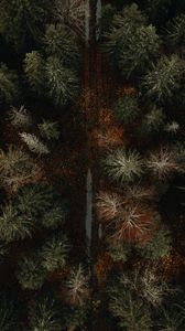 nature