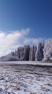 nature