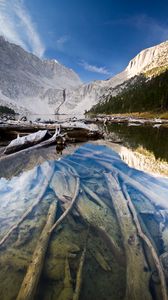 nature