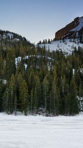 nature
