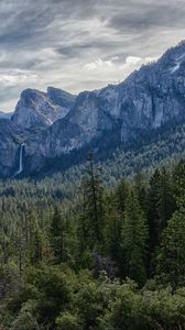 nature