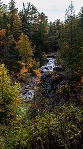 nature