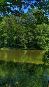 nature