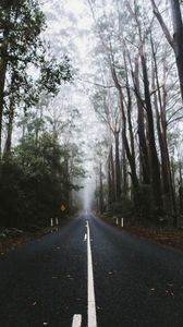 nature