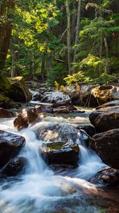 nature