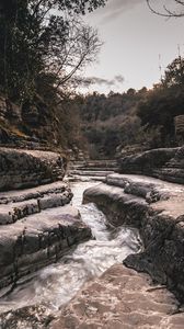 nature