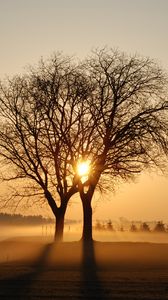 nature