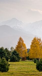nature