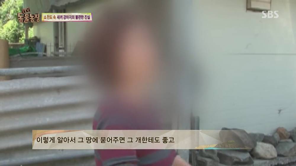 87.jpg [스압, 약혐] 오늘자 동물농장 강아지 공장의 실체