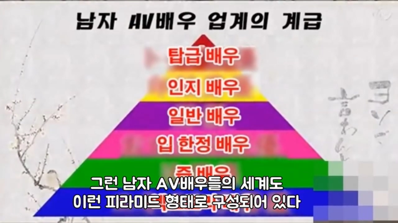 AV 배우가 알려주는 AV의 세계 (스압)