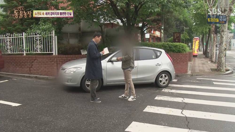 26.jpg [스압, 약혐] 오늘자 동물농장 강아지 공장의 실체