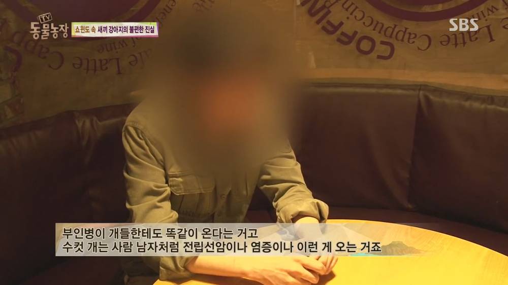 31.jpg [스압, 약혐] 오늘자 동물농장 강아지 공장의 실체