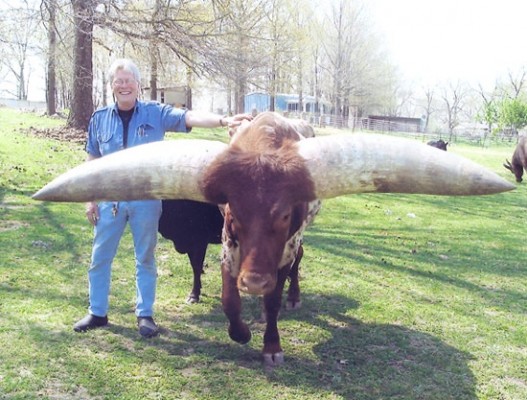 largest horn circumference