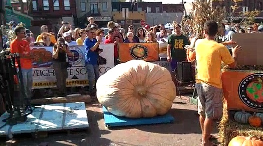 Heaviest Pumpkin