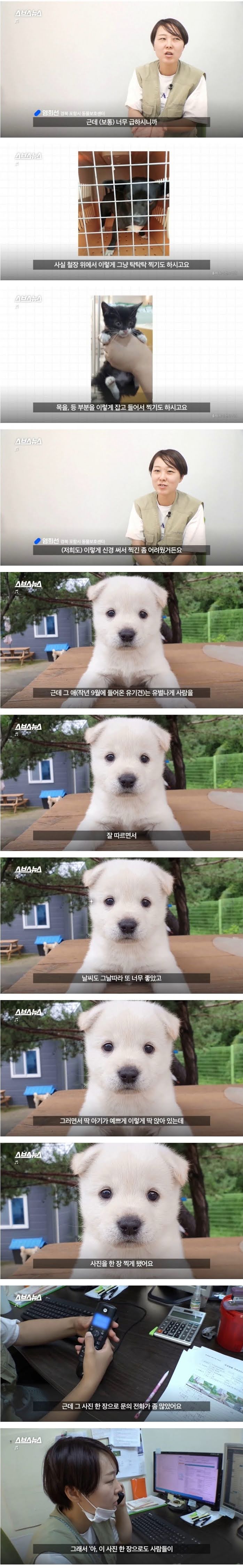 인생샷 찍어주는 보호소
