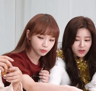 아이즈원, 성탄절 쌈무채원