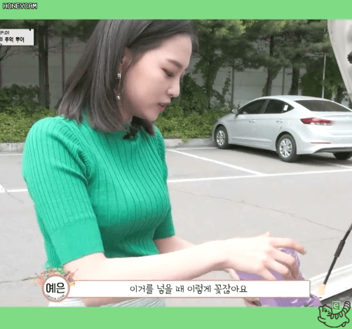 운전은 역시 안전벨트 예은