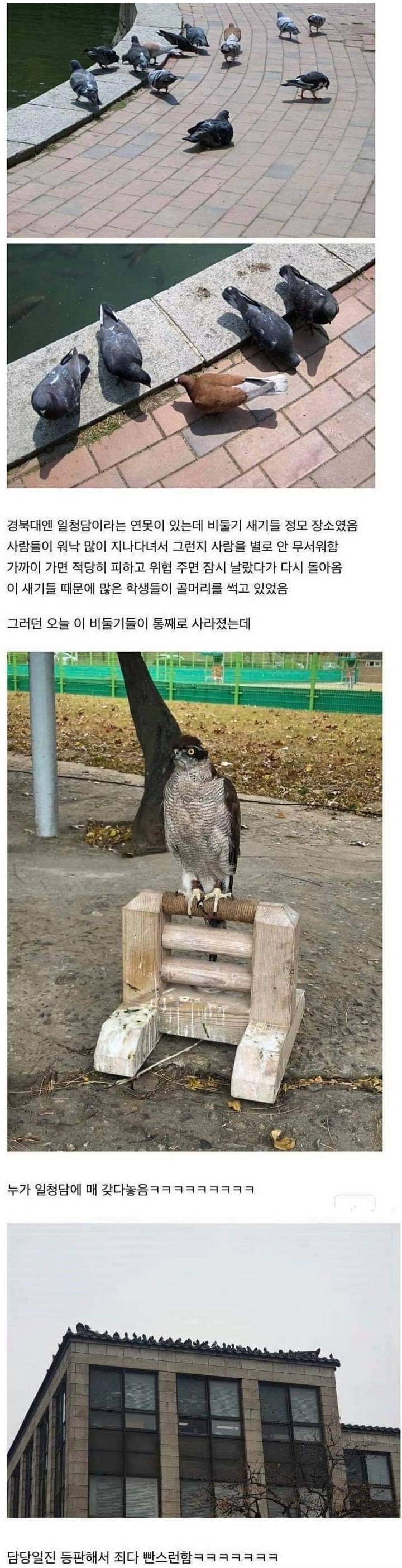 경북대에서 벌어진 사건