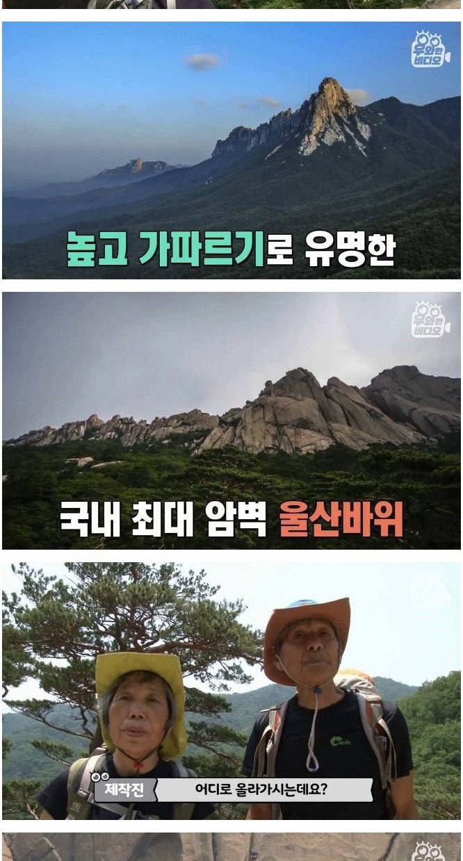 암벽 타는 백발 커플