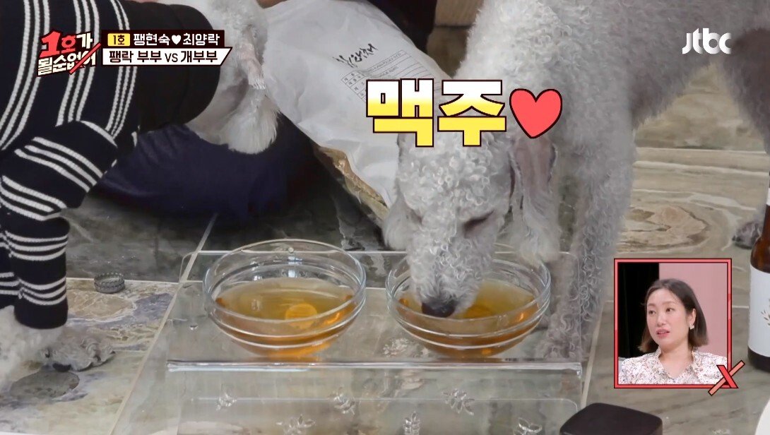 개라면 질색하던 최양락