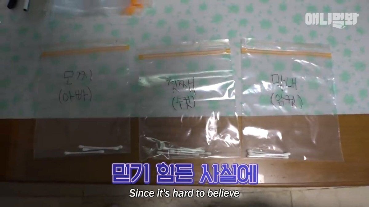 희귀 견종 말스키