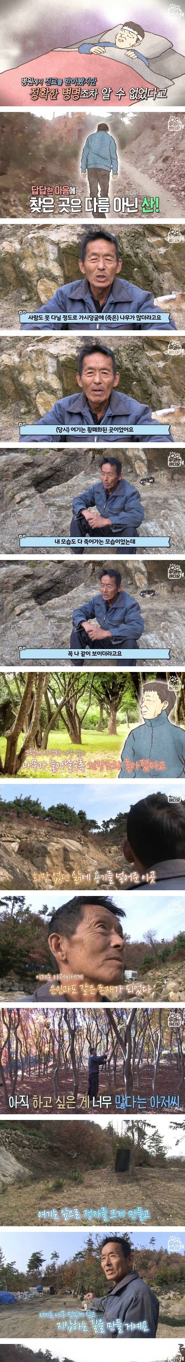 혼자 가꾸는 7천평 정원