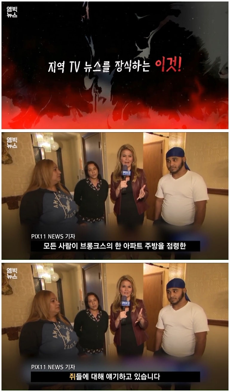 세계 곳곳 주요 도시에 창궐 중