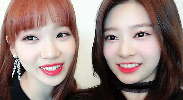 아이즈원 쌈구리