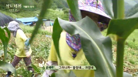 남주혁 정도는 되어야 분위기 띄울 수 있는 드립